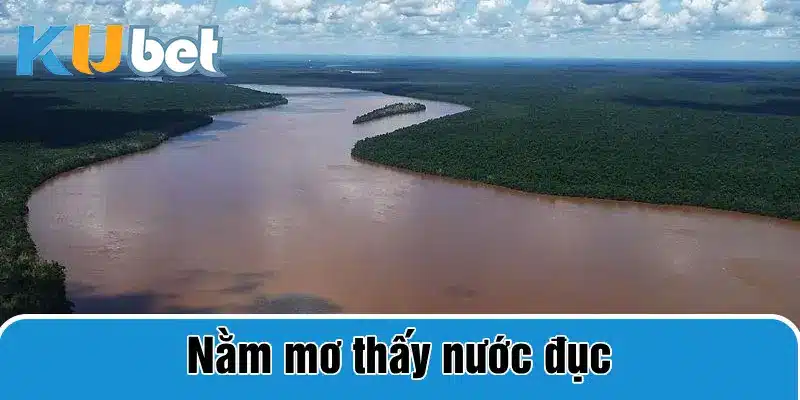 nằm mơ thấy nước đục