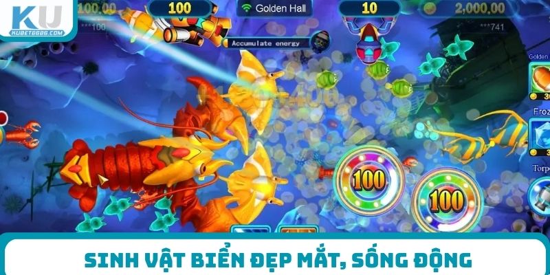 Sinh vật biển đẹp mắt, sống động